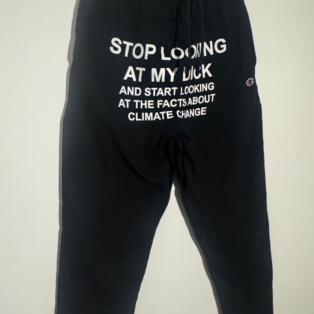 Champion X Pizzaslime pants (stop looking at my dick)